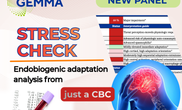 Introducing StressCheck: Understanding Adaptative Coherence